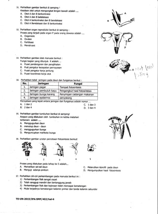31. Perhatikan gambar berikut dt sampirg I
Keadaan otot ufiuk mengangkat lengan bawah adalah ....
A. otot A dan B berkontr...