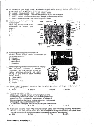 34. Rina menyeterika baju sarnbil melihat TV, tiba-tiba berteriak aduh, tangannya terkena setrika. Jalannya
rangsang pada ...