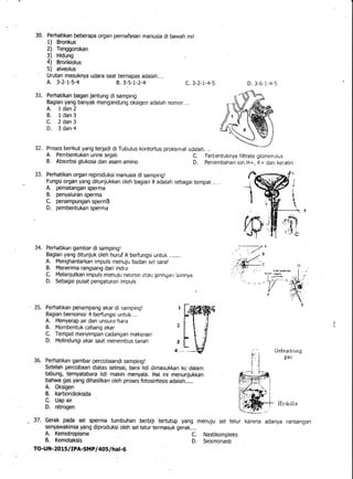 30. Perhatikan beberapa organ pernafasan manusia di bawah inil
1) Bronkus
2) Tenggorokan
q) Hiduns
4) Bronkiolus
5) alveol...