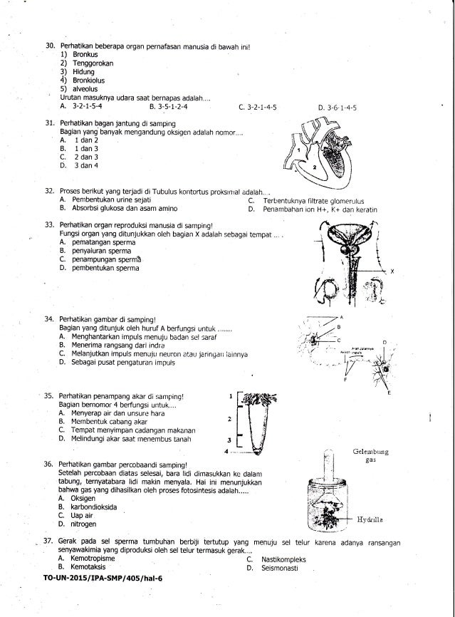 KUMPULAN SOAL TRYOUT KAB. UJIAN NASIONAL (UN) IPA SMP 