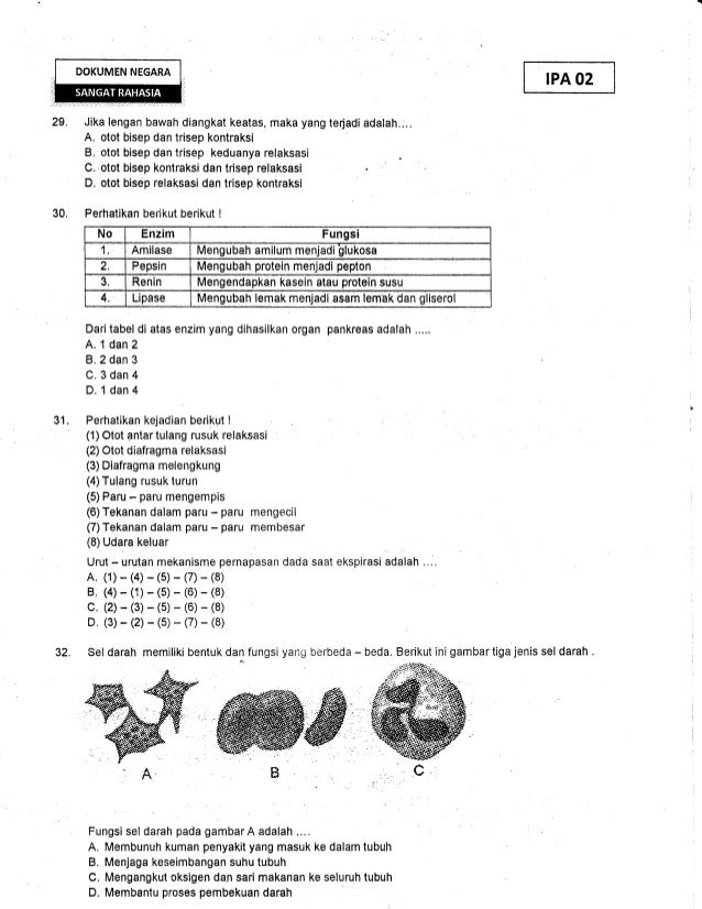 Contoh Soal Identifikasi Gugus Fungsi House Kar