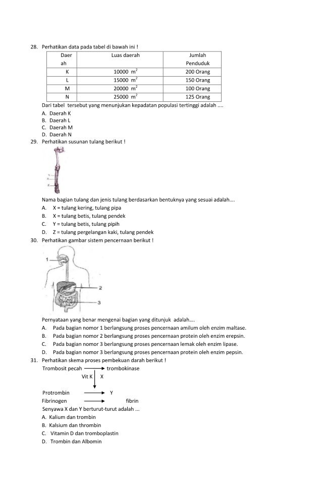 Buku Bank Soal Try Out UN IPA SMP Gugus3 Tuban Tahun2021 Buku Bank Soal Try Out UN IPA SMP Gugus3 Tuban Tahun2021