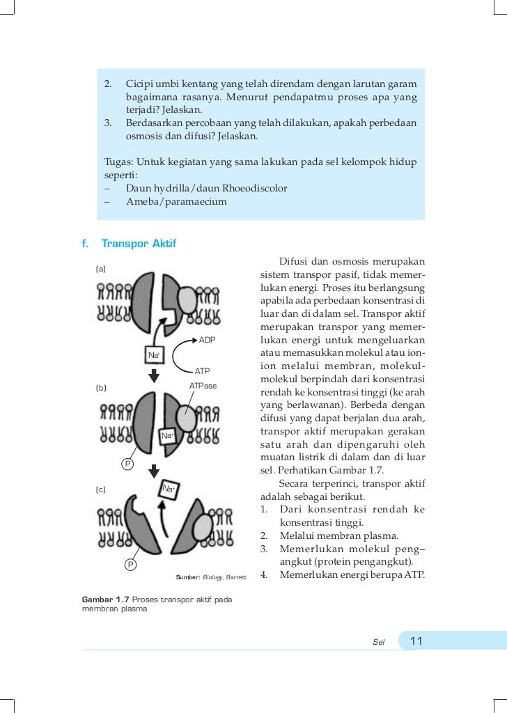 Buku Ipa Biologi Sma Xi