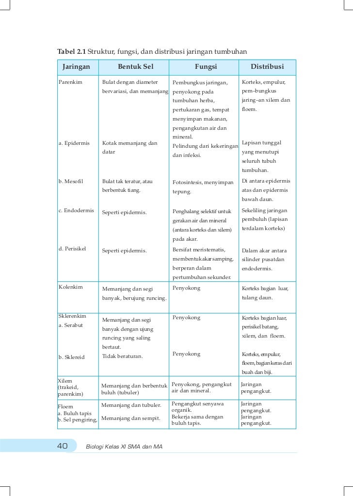 Buku Biologi SMA Kelas XI [BSE] 2009 – Eva Latifah Hanum