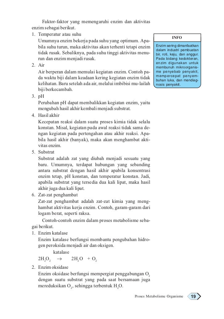 File Administrasi