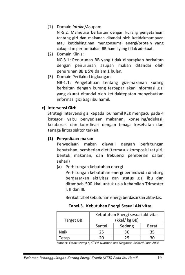 formulir dalam pdf contoh bahasa inggris Pie Contoh Pomegranate 24  Formulir Recall Jam Food