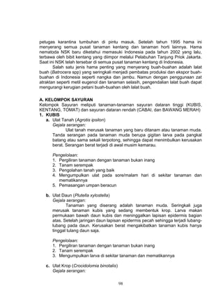 petugas karantina tumbuhan di pintu masuk. Setelah tahun 1995 hama ini
menyerang semua pusat tanaman kentang dan tanaman horti lainnya. Hama
nematoda NSK baru diketahui memasuki Indonesia pada tahun 2002 yang lalu,
terbawa oleh bibit kentang yang diimpor melalui Pelabuhan Tanjung Priok Jakarta.
Saat ini NSK telah tersebar di semua pusat tanaman kentang di Indonesia.
       Salah satu jenis hama penting yang menyerang buah-buahan adalah lalat
buah (Batrocera spp) yang seringkali menjadi pembatas produksi dan ekspor buah-
buahan di Indonesia seperti nangka dan jambu. Namun dengan penggunaan zat
atraktan seperti metil eugenol dan tanaman selasih, pengendalian lalat buah dapat
mengurangi kerugian petani buah-buahan oleh lalat buah.

A. KELOMPOK SAYURAN
Kelompok Sayuran meliputi tanaman-tanaman sayuran dataran tinggi (KUBIS,
KENTANG, TOMAT) dan sayuran dataran rendah (CABAI, dan BAWANG MERAH)
1. KUBIS
   a. Ulat Tanah (Agrotis ipsilon)
      Gejala serangan:
             Ulat tanah merusak tanaman yang baru ditanam atau tanaman muda.
      Tanda serangan pada tanaman muda berupa gigitan larva pada pangkal
      batang atau sama sekali terpotong, sehingga dapat menimbulkan kerusakan
      berat. Serangan berat terjadi di awal musim kemarau.

      Pengelolaan:
      1. Pergiliran tanaman dengan tanaman bukan inang
      2. Tanam serempak
      3. Pengolahan tanah yang baik
      4. Mengumpulkan ulat pada sore/malam hari di sekitar tanaman dan
         mematikannya
      5. Pemasangan umpan beracun

   b. Ulat Daun (Plutella xylostella)
      Gejala serangan:
             Tanaman yang diserang adalah tanaman muda. Seringkali juga
      merusak tanaman kubis yang sedang membentuk krop. Larva makan
      permukaan bawah daun kubis dan meninggalkan lapisan epidermis bagian
      atas. Setelah jaringan daun lapisan epidermis pecah sehingga terjadi lubang-
      lubang pada daun. Kerusakan berat mengakibatkan tanaman kubis hanya
      tinggal tulang daun saja.

      Pengelolaan:
      1. Pergiliran tanaman dengan tanaman bukan inang
      2. Tanam serempak
      3. Mengumpulkan larva di sekitar tanaman dan mematikannya

   c. Ulat Krop (Crocidolomia binotalis)
      Gejala serangan:

                                           98
 