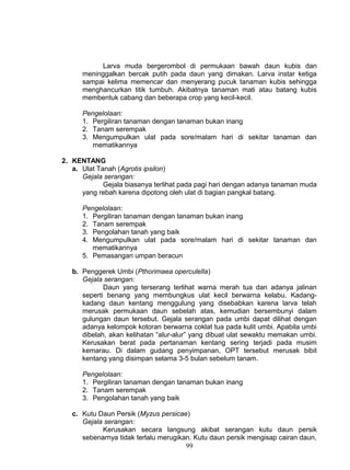 Larva muda bergerombol di permukaan bawah daun kubis dan
      meninggalkan bercak putih pada daun yang dimakan. Larva instar ketiga
      sampai kelima memencar dan menyerang pucuk tanaman kubis sehingga
      menghancurkan titik tumbuh. Akibatnya tanaman mati atau batang kubis
      membentuk cabang dan beberapa crop yang kecil-kecil.

      Pengelolaan:
      1. Pergiliran tanaman dengan tanaman bukan inang
      2. Tanam serempak
      3. Mengumpulkan ulat pada sore/malam hari di sekitar tanaman dan
         mematikannya

2. KENTANG
   a. Ulat Tanah (Agrotis ipsilon)
      Gejala serangan:
             Gejala biasanya terlihat pada pagi hari dengan adanya tanaman muda
      yang rebah karena dipotong oleh ulat di bagian pangkal batang.

      Pengelolaan:
      1. Pergiliran tanaman dengan tanaman bukan inang
      2. Tanam serempak
      3. Pengolahan tanah yang baik
      4. Mengumpulkan ulat pada sore/malam hari di sekitar tanaman dan
         mematikannya
      5. Pemasangan umpan beracun

   b. Penggerek Umbi (Pthorimaea operculella)
      Gejala serangan:
             Daun yang terserang terlihat warna merah tua dan adanya jalinan
      seperti benang yang membungkus ulat kecil berwarna kelabu. Kadang-
      kadang daun kentang menggulung yang disebabkan karena larva telah
      merusak permukaan daun sebelah atas, kemudian bersembunyi dalam
      gulungan daun tersebut. Gejala serangan pada umbi dapat dilihat dengan
      adanya kelompok kotoran berwarna coklat tua pada kulit umbi. Apabila umbi
      dibelah, akan kelihatan “alur-alur” yang dibuat ulat sewaktu memakan umbi.
      Kerusakan berat pada pertanaman kentang sering terjadi pada musim
      kemarau. Di dalam gudang penyimpanan, OPT tersebut merusak bibit
      kentang yang disimpan selama 3-5 bulan sebelum tanam.

      Pengelolaan:
      1. Pergiliran tanaman dengan tanaman bukan inang
      2. Tanam serempak
      3. Pengolahan tanah yang baik

   c. Kutu Daun Persik (Myzus persicae)
      Gejala serangan:
            Kerusakan secara langsung akibat serangan kutu daun persik
      sebenarnya tidak terlalu merugikan. Kutu daun persik mengisap cairan daun,
                                       99
 
