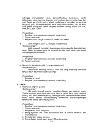 sehingga menyebabkan daun berkerut/keriting, tumbuhnya kerdil,
        kekuningan, daun-daunnya terpuntir, menggulung dan kemudian layu dan
        mati. Gejala yang lebih penting adalah gejala karena kerusakan secara tidak
        langsung, yaitu serangan penyakit virus yang ditularkan oleh kutu ini. Kutu
        daun persik merupakan vektor penyakit tanaman kentang antara lain PVA,
        PVY, PVM, dan PLRV.

        Pengelolaan:
        1. Pergiliran tanaman dengan tanaman bukan inang
        2. Tanam serempak
        3. Penyemprotan dengan insektisida selektif dan efektif

   d.         Lalat Pengorok Daun (Lyriomyza huidobrensis)
        Gejala serangan:
              Lalat pengorok memakan daun dengan cara masuk ke dalam jaringan
        daun. Akibat serangan hama ini terdapat alur-alur pada daun yang dapat
        mempengaruhi fotosintesis.

        Pengelolaan:
        1. Pergiliran tanaman dengan tanaman bukan inang
        2. Tanam serempak

   e. Nematoda Sista Kuning (Globodera rostochiensis)
      Gejala serangan:
            Pertanaman kentang berumur 70-80 hst yang terserang nematoda
      tampak daun-daun klorosis (menguning).

        Pengelolaan:
        1. Pengolahan tanah
        2. Pergiliran tanaman dengan tanaman bukan inang

3. CABAI
   a. Ulat Tanah (Agrotis ipsilon)
      Gejala serangan:
             Ulat tanah merusak tanaman yang baru ditanam atau tanaman muda.
      Tanda serangan pada tanaman muda berupa gigitan larva pada pangkal
      batang atau sama sekali terpotong, sehingga dapat menimbulkan kerusakan
      berat. Larva dewasa kadang-kadang membawa potongan-potongan
      tanaman ke tempat persembunyiannya.

        Pengelolaan:
        1. Pergiliran tanaman dengan tanaman bukan inang
        2. Tanam serempak
        3. Pengolahan tanah yang baik
        4. Mengumpulkan ulat pada sore/malam hari di sekitar tanaman dan
           mematikannya
        5. Pemasangan umpan beracun
        6. Pemanfaatan musuh alami seperti Metarrhizium sp.
                                       100
 