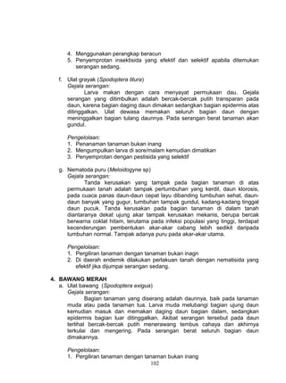 4. Menggunakan perangkap beracun
      5. Penyemprotan insektisida yang efektif dan selektif apabila ditemukan
         serangan sedang.

   f. Ulat grayak (Spodoptera litura)
      Gejala serangan:
             Larva makan dengan cara menyayat permukaan dau. Gejala
      serangan yang ditimbulkan adalah bercak-bercak putih transparan pada
      daun, karena bagian daging daun dimakan sedangkan bagian epidermis atas
      ditinggalkan. Ulat dewasa memakan seluruh bagian daun dengan
      meninggalkan bagian tulang daunnya. Pada serangan berat tanaman akan
      gundul.

      Pengelolaan:
      1. Penanaman tanaman bukan inang
      2. Mengumpulkan larva di sore/malam kemudian dimatikan
      3. Penyemprotan dengan pestisida yang selektif

   g. Nematoda puru (Meloidogyne sp)
      Gejala serangan:
             Tanda kerusakan yang tampak pada bagian tanaman di atas
      permukaan tanah adalah tampak pertumbuhan yang kerdil, daun klorosis,
      pada cuaca panas daun-daun cepat layu dibanding tumbuhan sehat, daun-
      daun banyak yang gugur, tumbuhan tampak gundul, kadang-kadang tinggal
      daun pucuk. Tanda kerusakan pada bagian tanaman di dalam tanah
      diantaranya dekat ujung akar tampak kerusakan mekanis, berupa bercak
      berwarna coklat hitam, terutama pada infeksi populasi yang tinggi, terdapat
      kecenderungan pembentukan akar-akar cabang lebih sedikit daripada
      tumbuhan normal. Tampak adanya puru pada akar-akar utama.

      Pengelolaan:
      1. Pergiliran tanaman dengan tanaman bukan inagn
      2. Di daerah endemik dilakukan perlakuan tanah dengan nematisida yang
         efektif jika dijumpai serangan sedang.

4. BAWANG MERAH
   a. Ulat bawang (Spodoptera exigua)
      Gejala serangan:
              Bagian tanaman yang diserang adalah daunnya, baik pada tanaman
      muda atau pada tanaman tua. Larva muda melubangi bagian ujung daun
      kemudian masuk dan memakan daging daun bagian dalam, sedangkan
      epidermis bagian luar ditinggalkan. Akibat serangan tersebut pada daun
      terlihat bercak-bercak putih menerawang tembus cahaya dan akhirnya
      terkulai dan mengering. Pada serangan berat seluruh bagian daun
      dimakannya.

      Pengelolaan:
      1. Pergiliran tanaman dengan tanaman bukan inang
                                     102
 
