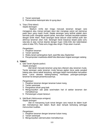 2. Tanam serempak
      3. Pemusnahan kelompok telur di ujung daun

   b. Trips (Thrip tabaci)
      Gejala Serangan:
               Stadium nimfa dan imago merusak tanaman dengan cara
      menggaruk atau meraut jaringan daun dan mengisap cairan sel utamanya
      pada daun yang masih muda. Gejala serangan yang terlihat adalah daun
      bernoda putih mengkilat seperti perak, kemudian menjadi kecoklat-coklatan
      dengan bintik hitam. Pada serangan berat seluruh areal terlihat putih dan
      akhirnya tanaman akan mati. Serangan berat biasanya terjadi pada suhu
      rata-rata di atas normal disertai dengan hujan rintik-rintik dan kelembaban
      udara di atas 70%. Pada suhu tinggi atau dingin Thrips akan musnah.

      Pengelolaan:
      1. Pergiliran tanaman
      2. Tanam serentak
      3. Waktu tanam pertengahan April, awal Mei atau September
      4. Penyemprotan insektisida efektif bila ditemukan tingkat serangan sedang

5. TOMAT
   a. Ulat Tanah (Agrotis ipsilon)
      Gejala serangan:
             Ulat tanah merusak tanaman yang baru ditanam atau tanaman muda.
      Tanda serangan pada tanaman muda berupa gigitan larva pada pangkal
      batang atau sama sekali terpotong, sehingga dapat menimbulkan kerusakan
      berat. Larva dewasa kadang-kadang membawa potongan-potongan
      tanaman ke tempat persembunyiannya.

      Pengelolaan:
      1. Pergiliran tanaman dengan tanaman bukan inang
      2. Tanam serempak
      3. Pengolahan tanah yang baik
      4. Mengumpulkan ulat pada sore/malam hari di sekitar tanaman dan
         mematikannya
      5. Pemasangan umpan beracun

   b. Ulat Buah (Helicoverpa armigera)
      Gejala serangan:
             Ulat ini menyerang buah tomat dengan cara masuk ke dalam buah
      dan memakannya dari dalam. Buah akan tampak berlubang sehingga
      menurunkan kualitas.

      Pengelolaan:
      1. Pergiliran tanaman dengan tanaman bukan inang
      2. Tanam serempak
      3. Mengumpulkan ulat kemudian mematikannya

                                      103
 
