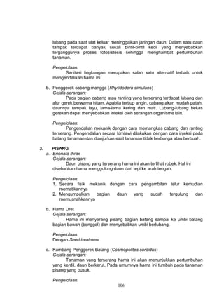 lubang pada saat ulat keluar meninggalkan jaringan daun. Dalam satu daun
        tampak terdapat banyak sekali bintil-bintil kecil yang menyebabkan
        terganggunya proses fotosistesis sehingga menghambat pertumbuhan
        tanaman.

        Pengelolaan:
              Sanitasi lingkungan merupakan salah satu alternatif terbaik untuk
        mengendalikan hama ini.

     b. Penggerek cabang mangga (Rhytidodera simulans)
        Gejala serangan:
               Pada bagian cabang atau ranting yang terserang terdapat lubang dan
        alur gerek berwarna hitam. Apabila tertiup angin, cabang akan mudah patah,
        daunnya tampak layu, lama-lama kering dan mati. Lubang-lubang bekas
        gerekan dapat menyebabkan infeksi oleh serangan organisme lain.

        Pengelolaan:
               Pengendalian mekanik dengan cara memangkas cabang dan ranting
        terserang. Pengendalian secara kimiawi dilakukan dengan cara injeksi pada
        batang tanaman dan dianjurkan saat tanaman tidak berbunga atau berbuah.

3.      PISANG
     a. Erionata thrax
        Gejala serangan:
              Daun pisang yang terserang hama ini akan terlihat robek. Hal ini
        disebabkan hama menggulung daun dari tepi ke arah tengah.

        Pengelolaan:
        1. Secara fisik mekanik dengan cara pengambilan telur kemudian
           mematikannya
        2. Mengumpulkan    bagian  daun  yang   sudah   tergulung dan
           memusnahkannya

     b. Hama Uret
        Gejala serangan:
              Hama ini menyerang pisang bagian batang sampai ke umbi batang
        bagian bawah (bonggol) dan menyebabkan umbi berlubang.

        Pengelolaan:
        Dengan Seed treatment

     c. Kumbang Penggerek Batang (Cosmopolites sordidus)
        Gejala serangan:
              Tanaman yang terserang hama ini akan menunjukkan pertumbuhan
        yang kerdil, daun berkerut. Pada umumnya hama ini tumbuh pada tanaman
        pisang yang busuk.

        Pengelolaan:
                                         106
 