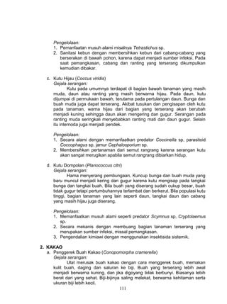 Pengelolaan:
      1. Pemanfaatan musuh alami misalnya Tetrastichus sp.
      2. Sanitasi kebun dengan membersihkan kebun dari cabang-cabang yang
         berserakan di bawah pohon, karena dapat menjadi sumber infeksi. Pada
         saat pemangkasan, cabang dan ranting yang terserang dikumpulkan
         kemudian dibakar.

   c. Kutu Hijau (Coccus viridis)
      Gejala serangan:
              Kutu pada umumnya terdapat di bagian bawah tanaman yang masih
      muda, daun atau ranting yang masih berwarna hijau. Pada daun, kutu
      dijumpai di permukaan bawah, terutama pada pertulangan daun. Bunga dan
      buah muda juga dapat terserang. Akibat tusukan dan pengisapan oleh kutu
      pada tanaman, warna hijau dari bagian yang terserang akan berubah
      menjadi kuning sehingga daun akan mengering dan gugur. Serangan pada
      ranting muda seringkali menyebabkan ranting mati dan daun gugur. Selain
      itu internoda juga menjadi pendek.

      Pengelolaan:
      1. Secara alami dengan memanfaatkan predator Coccinella sp, parasitoid
         Coccophagus sp, jamur Cephalosporium sp.
      2. Membersihkan pertanaman dari semut rangrang karena serangan kutu
         akan sangat merugikan apabila semut rangrang dibiarkan hidup.

   d. Kutu Dompolan (Planococcus citri)
      Gejala serangan:
              Hama menyerang pembungaan. Kuncup bunga dan buah muda yang
      baru muncul menjadi kering dan gugur karena kutu mengisap pada tangkai
      bunga dan tangkai buah. Bila buah yang diserang sudah cukup besar, buah
      tidak gugur tetapi pertumbuhannya terlambat dan berkerut. Bila populasi kutu
      tinggi, bagian tanaman yang lain seperti daun, tangkai daun dan cabang
      yang masih hijau juga diserang.

      Pengelolaan:
      1. Memanfaatkan musuh alami seperti predator Scymnus sp, Cryptolaemus
         sp.
      2. Secara mekanis dengan membuang bagian tanaman terserang yang
         merupakan sumber infeksi, missal pemangkasan.
      3. Pengendalian kimiawi dengan menggunakan insektisida sistemik.

2. KAKAO
   a. Penggerek Buah Kakao (Conopomorpha cramerella)
      Gejala serangan:
             Ulat merusak buah kakao dengan cara menggerek buah, memakan
      kulit buah, daging dan saluran ke biji. Buah yang terserang lebih awal
      menjadi berwarna kuning, dan jika digoyang tidak berbunyi. Biasanya lebih
      berat dari yang sehat. Biji-bijinya saling melekat, berwarna kehitaman serta
      ukuran biji lebih kecil.
                                         111
 