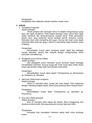 Pengelolaan:
      Pengelolaan tikus dilakukan dengan sanitasi, umpan racun

3. KAPAS
   a. Sundapteryx bigutulla
      Gejala serangan:
             Tanda pertama dari serangan hama ini adalah menguningnya ujung
      daun dan agak mengkerut. Pada tingkat serangan berat, warna daun agak
      coklat memerah dan pertumbuhannya menjadi kerdil. Pada permukaan
      bawah daun yang terserang sering terdapat bercak berwarna kuning.
      Kemudian daun akan mengering dan gugur. Kuncup dan buah muda dapat
      membuka lebih awal dan gugur. Hama ini menyerang sejak tanaman muda
      di lapang.

      Pengelolaan:
            Pemanfaatan musuh alami kumbang kubah, kepik dan berbagai
      macam laba-laba. Secara fisik mekanik dengan mengumpulkan hama
      kemudian mematikannya.

   b. Penggerek pucuk (Earias vittela)
      Gejala serangan:
             Ulat penggerek pucuk memakan pucuk tanaman kapas sehingga
      menyebabkan kematian. Kuncup bunga dan buah muda akan rontok. Buah
      besar juga dimakan tetapi tidak menimbulkan kerontokan.

      Pengelolaan:
             Memanfaatkan musuh alami seperti Trichogramma sp, Brachymeria
      sp, Diadegma sp, laba-laba.

   c. Ulat buah (Helicoverpa armigera)
      Gejala serangan:
             Hama ini memakan daun, bunga dan buah kapas. Cara makannya
      dengan melubangi bagian bawah. Buah yang terserang akan menjadi busuk.

      Pengelolaan:
            Memanfaatkan musuh alami Trichogramma sp, Apanteles sp,
      Encarsia sp.

   d. Kutu daun (Aphis gossypii)
      Gejala serangan:
            Kutu ini memakan daun kapas dari bawah. Daun menggulung, dan
      tanaman tumbuh kerdil. Ada yang berwarna kuning, hijau dan hitam.


      Pengelolaan:
             Kumpulan kutu merupakan makanan paling enak untuk kumbang
      kubah.
                                   113
 