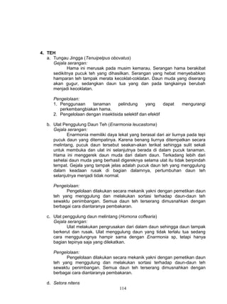 4. TEH
   a. Tungau Jingga (Tenuipelpus obovatus)
      Gejala serangan:
             Hama ini merusak pada musim kemarau. Serangan hama berakibat
      sedikitnya pucuk teh yang dihasilkan. Serangan yang hebat menyebabkan
      hamparan teh tampak merata kecoklat-coklatan. Daun muda yang diserang
      akan gugur, sedangkan daun tua yang dan pada tangkainya berubah
      menjadi kecoklatan.

      Pengelolaan:
      1. Penggunaan     tanaman      pelindung      yang     dapat    mengurangi
         perkembangbiakan hama.
      2. Pengelolaan dengan insektisida selektif dan efektif

   b. Ulat Penggulung Daun Teh (Enarmonia leucastoma)
      Gejala serangan:
             Enarmonia memiliki daya lekat yang berasal dari air liurnya pada tepi
      pucuk daun yang ditempatinya. Karena benang liurnya ditempatkan secara
      melintang, pucuk daun tersebut seakan-akan terikat sehingga sulit sekali
      untuk membuka dan ulat ini selanjutnya berada di dalam pucuk tanaman.
      Hama ini menggerek daun muda dari dalam daun. Terkadang lebih dari
      sehelai daun muda yang berhasil digereknya selama ulat itu tidak berpindah
      tempat. Gejala yang tampak jelas adalah pucuk daun teh yang menggulung
      dalam keadaan rusak di bagian dalamnya, pertumbuhan daun teh
      selanjutnya menjadi tidak normal.

      Pengelolaan:
            Pengelolaan dilakukan secara mekanik yakni dengan pemetikan daun
      teh yang menggulung dan melakukan sortasi terhadap daun-daun teh
      sewaktu penimbangan. Semua daun teh terserang dimusnahkan dengan
      berbagai cara diantaranya pembakaran.

   c. Ulat penggulung daun melintang (Homona coffearia)
      Gejala serangan:
             Ulat melakukan pengrusakan dari dalam daun sehingga daun tampak
      berkerut dan rusak. Ulat menggulung daun yang tidak terlalu tua sedang
      cara menggulungnya hampir sama dengan Enarmonia sp, tetapi hanya
      bagian tepinya saja yang dilekatkan.

      Pengelolaan:
            Pengelolaan dilakukan secara mekanik yakni dengan pemetikan daun
      teh yang menggulung dan melakukan sortasi terhadap daun-daun teh
      sewaktu penimbangan. Semua daun teh terserang dimusnahkan dengan
      berbagai cara diantaranya pembakaran.

   d. Setora nitens
                                       114
 