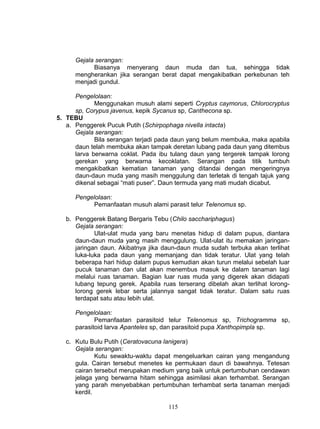 Gejala serangan:
            Biasanya menyerang daun muda dan tua, sehingga tidak
      mengherankan jika serangan berat dapat mengakibatkan perkebunan teh
      menjadi gundul.

      Pengelolaan:
             Menggunakan musuh alami seperti Cryptus caymorus, Chlorocryptus
      sp, Corypus javenus, kepik Sycanus sp, Canthecona sp.
5. TEBU
   a. Penggerek Pucuk Putih (Schirpophaga nivella intacta)
      Gejala serangan:
             Bila serangan terjadi pada daun yang belum membuka, maka apabila
      daun telah membuka akan tampak deretan lubang pada daun yang ditembus
      larva berwarna coklat. Pada ibu tulang daun yang tergerek tampak lorong
      gerekan yang berwarna kecoklatan. Serangan pada titik tumbuh
      mengakibatkan kematian tanaman yang ditandai dengan mengeringnya
      daun-daun muda yang masih menggulung dan terletak di tengah tajuk yang
      dikenal sebagai “mati puser”. Daun termuda yang mati mudah dicabut.

      Pengelolaan:
            Pemanfaatan musuh alami parasit telur Telenomus sp.

   b. Penggerek Batang Bergaris Tebu (Chilo sacchariphagus)
      Gejala serangan:
             Ulat-ulat muda yang baru menetas hidup di dalam pupus, diantara
      daun-daun muda yang masih menggulung. Ulat-ulat itu memakan jaringan-
      jaringan daun. Akibatnya jika daun-daun muda sudah terbuka akan terlihat
      luka-luka pada daun yang memanjang dan tidak teratur. Ulat yang telah
      beberapa hari hidup dalam pupus kemudian akan turun melalui sebelah luar
      pucuk tanaman dan ulat akan menembus masuk ke dalam tanaman lagi
      melalui ruas tanaman. Bagian luar ruas muda yang digerek akan didapati
      lubang tepung gerek. Apabila ruas terserang dibelah akan terlihat lorong-
      lorong gerek lebar serta jalannya sangat tidak teratur. Dalam satu ruas
      terdapat satu atau lebih ulat.

      Pengelolaan:
             Pemanfaatan parasitoid telur Telenomus sp, Trichogramma sp,
      parasitoid larva Apanteles sp, dan parasitoid pupa Xanthopimpla sp.

   c. Kutu Bulu Putih (Ceratovacuna lanigera)
      Gejala serangan:
              Kutu sewaktu-waktu dapat mengeluarkan cairan yang mengandung
      gula. Cairan tersebut menetes ke permukaan daun di bawahnya. Tetesan
      cairan tersebut merupakan medium yang baik untuk pertumbuhan cendawan
      jelaga yang berwarna hitam sehingga asimilasi akan terhambat. Serangan
      yang parah menyebabkan pertumbuhan terhambat serta tanaman menjadi
      kerdil.

                                     115
 