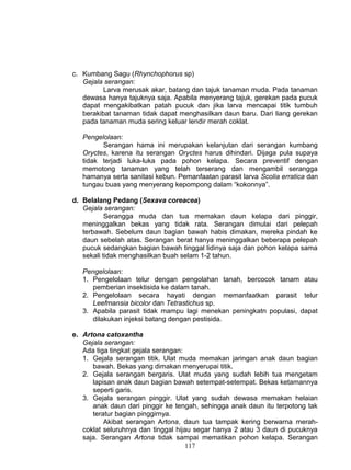 c. Kumbang Sagu (Rhynchophorus sp)
   Gejala serangan:
          Larva merusak akar, batang dan tajuk tanaman muda. Pada tanaman
   dewasa hanya tajuknya saja. Apabila menyerang tajuk, gerekan pada pucuk
   dapat mengakibatkan patah pucuk dan jika larva mencapai titik tumbuh
   berakibat tanaman tidak dapat menghasilkan daun baru. Dari liang gerekan
   pada tanaman muda sering keluar lendir merah coklat.

   Pengelolaan:
         Serangan hama ini merupakan kelanjutan dari serangan kumbang
   Oryctes, karena itu serangan Oryctes harus dihindari. Dijaga pula supaya
   tidak terjadi luka-luka pada pohon kelapa. Secara preventif dengan
   memotong tanaman yang telah terserang dan mengambil serangga
   hamanya serta sanitasi kebun. Pemanfaatan parasit larva Scolia erratica dan
   tungau buas yang menyerang kepompong dalam “kokonnya”.

d. Belalang Pedang (Sexava coreacea)
   Gejala serangan:
           Serangga muda dan tua memakan daun kelapa dari pinggir,
   meninggalkan bekas yang tidak rata. Serangan dimulai dari pelepah
   terbawah. Sebelum daun bagian bawah habis dimakan, mereka pindah ke
   daun sebelah atas. Serangan berat hanya meninggalkan beberapa pelepah
   pucuk sedangkan bagian bawah tinggal lidinya saja dan pohon kelapa sama
   sekali tidak menghasilkan buah selam 1-2 tahun.

   Pengelolaan:
   1. Pengelolaan telur dengan pengolahan tanah, bercocok tanam atau
      pemberian insektisida ke dalam tanah.
   2. Pengelolaan secara hayati dengan memanfaatkan parasit telur
      Leefmansia bicolor dan Tetrastichus sp.
   3. Apabila parasit tidak mampu lagi menekan peningkatn populasi, dapat
      dilakukan injeksi batang dengan pestisida.

e. Artona catoxantha
   Gejala serangan:
   Ada tiga tingkat gejala serangan:
   1. Gejala serangan titik. Ulat muda memakan jaringan anak daun bagian
      bawah. Bekas yang dimakan menyerupai titik.
   2. Gejala serangan bergaris. Ulat muda yang sudah lebih tua mengetam
      lapisan anak daun bagian bawah setempat-setempat. Bekas ketamannya
      seperti garis.
   3. Gejala serangan pinggir. Ulat yang sudah dewasa memakan helaian
      anak daun dari pinggir ke tengah, sehingga anak daun itu terpotong tak
      teratur bagian pinggirnya.
          Akibat serangan Artona, daun tua tampak kering berwarna merah-
   coklat seluruhnya dan tinggal hijau segar hanya 2 atau 3 daun di pucuknya
   saja. Serangan Artona tidak sampai mematikan pohon kelapa. Serangan
                                     117
 