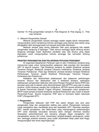 A                         B                         C
Gambar 19. Pola pengambilan sampel A. Pola Diagonal, B. Pola Zigzag, C. Pola
           Lajur tanaman

5. Mekanik Pengambilan Sampel
       Mekanik pengambilan sampel serangga adalah segala teknik memperoleh,
mengumpulkan serta menghitung individu serangga yang diamati atau bahan yang
ditinggalkan oleh serangga pada unit sampel yang telah ditentukan.
       Mekanik sampel yang sering dilakukan oleh para pengamat kita adalah
pengamatan langsung di lapangan. Tidak semua serangga dapat dihitung secara
langsung sehingga masih diperlukan peralatan atau alat khusus yang dapat
digunakan untuk mengumpulkan individu serangga dan kemudian dihitung
jumlahnnya.

PRAKTEK PENGAMATAN DAN PELAPORAN PETUGAS PENGAMAT
       Di organisasi Departemen Pertanian saat ini ada 3 Direktorat Jenderal yang
mempunyai tugas untuk mengumpulkan pelaporan data populasi dan kerusakan
OPT di seluruh propinsi. Tiga Direktorat Jenderal itu adalah Direktorat Jenderal
Tanaman Pangan, Direktorat Jenderal Tanaman Hortikultura, Direktorat Jenderal
Tanaman Perkebunan. Pada tiga Direktorat Jenderal tersebut terdapat Direktorat
Perlindungan Tanaman seperti Direktorat Perlindungan Tanaman Pangan,
Hortikultura dan Perkebunan.
       Kebijakan dan rekomendasi pelaksanaan dan pelaporan perlindungan
tanaman disusun dan dikeluarkan oleh 3 direktorat tersebut, sedangkan
pelaksanaan pengamatan dilakukan oleh para Petugas Pengamat Hama (PHP) dan
penyakit yang ada di daerah yang dikoordinasikan oleh BPTPH yang ada di setiap
propinsi. Untuk tanaman pangan dan hortikultura, BPTPH secara struktural berada
di bawah Pemerintah Daerah Tingkat I/Propinsi. Sedangkan untuk perkebunan,
BPTP masih berada di bawah Direktorat Jenderal Perkebunan atau masih di bawah
Pemerintah Pusat. Secara fungsional, PHP saat ini termasuk dalam kelompok
POPT (Pengendali OPT).

1. Pengamatan
       Pengamatan dilakukan oleh PHP dan petani dengan dua cara yaitu
pengamatan tetap dan pengamatan keliling atau patroli. Pengamatan bertujuan
untuk mengetahui atau mendeteksi jenis dan kepadatan OPT, intensitas serangan
OPT, daerah penyebaran, dan faktor-faktor yang mempengaruhi perkembangan
OPT serta intensitas kerusakan bencana alam. Dengan informasi tersebut
diharapkan petani/kelompok tani bersama petugas dapat mengetahui dan
menganalisis secara dini untuk menentukan langkah-langkah penanganan usaha
tani, sehingga produksi tanaman yang sudah diusahakan tetap pada taraf tinggi,
menguntungkan dan aman bagi lingkungan.

                                       31
 