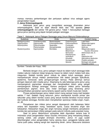 mampu memacu perkembangan dan perluasan aplikasi virus sebagai agens
pengendalian hayati.
2. Jamur Entomopatogenik
      Kelompok jenis jamur yang menginfeksi serangga dinamakan jamur
entomopatogenik. Saat ini telah dikenal lebih dari 750 spesies jamur
entomopatogenik dari sekitar 100 genera jamur. Tabel 1 menunjukkan berbagai
genus jamur penting yang dapat menjadi patogen serangga.

Tabel 1. Kelompok Jamur Patogen Serangga yang Umum Menurut Sistematikanya
   Subdivisi         Kelas            Ordo          Genus            Contoh Inang
Mastigomycotina   Chytridiomycetes   Blastocladiales    Coelomomyces     Lalat hitam
Zygomycotina      Zygomycetes        Entomophthorales   Enthomophthora   Nilaparvata lugens
Ascomycotina      Pyrenomycetes      Spaeriales         Cordyceps        Setora nitens
                  Plectomycetes      Ascosphaerales     Ascophaera       Aphis sp.
Deuteromycotina   Hypomycetes        Moniliales         Beauveria        Nilaparvata lugens
                                                        Metarhizium           Oryctes rhinoceros
                                                        Nomuraea         Helicoverpa zea, S.
                                                        Paecilomyces     litura
                                                        Verticillium     Diaphorina citri
                                                        Hirsutella       Aleurodicus destructor
                                                        Sorosporella     Plutella xylostela
                                                        Spicaria         Berbagai ulat grayak
                                                                         Helopeltis antonii
Sumber: Tanada dan Kaya, 1993

          Berbeda dengan virus, jamur patogen masuk ke dalam tubuh serangga tidak
melalui saluran makanan tetapi langsung masuk ke dalam tubuh melalui kulit atau
integumen. Setelah konidia jamur masuk ke dalam tubuh serangga, jamur
memperbanyak dirinya melalui pembentukan hife dalam jaringan epikutikula,
epidermis, hemocoel, serta jaringan-jaringan lainnya. Pada akhirnya semua
jaringan dipenuhi oleh miselia jamur. Disamping itu ada beberapa jenis jamur yang
mempengaruhi pigmentasi serangga dan menghasilkan toksin yang sangat
mempengaruhi fisiologi serangga. Karena pengaruh infeksi jamur terhadap
pembentukan pigmen, larva atau instar serangga yang terserang jamur
memperlihatkan perubahan warna tertentu seperti warna merah muda dan merah.
          Proses perkembangan jamur dalam tubuh inang sampai inang mati berjalan
sekitar 7 hari. Setelah inang terbunuh, jamur membentuk konidia primer dan
sekunder yang dalam kondisi cuaca yang sesuai konidia tersebut muncul keluar
dari kutikula serangga. Konidia akan menyebarkan sporanya melalui angin, hujan,
air, dll.
          Penyebaran dan infeksi jamur sangat dipengaruhi oleh beberapa faktor
antara lain kepadatan inang, kesediaan spora, cuaca terutama angin dan
kebasahan. Kebasahan tinggi dan angin kencang sangat membantu penyebaran
konidia dan pemerataan infeksi patogen pada seluruh individu pada populasi inang.
          Saat ini jamur Metarhizium anisopliae telah digunakan secara luas di
Indonesia untuk pengendalian hama Oryctes rhinoceros yang menyerang kelapa,
wereng coklat, ulat jengkal (Ectropis bhurmitra). Jamur ini juga sudah
dikembangkan untuk pengendalian hama wereng daun, penggerek batang padi,
hama putih palsu, walang sangit dan kepinding tanah. Jamur Beauveria bassiana
                                        56
 
