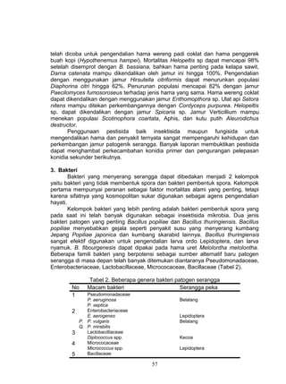 telah dicoba untuk pengendalian hama wereng padi coklat dan hama penggerek
buah kopi (Hypothenemus hampei). Mortalitas Helopeltis sp dapat mencapai 98%
setelah disemprot dengan B. bassiana, bahkan hama penting pada kelapa sawit,
Darna catenata mampu dikendalikan oleh jamur ini hingga 100%. Pengendalian
dengan menggunakan jamur Hirsutella citriformis dapat menurunkan populasi
Diaphorina citri hingga 62%. Penurunan populasi mencapai 82% dengan jamur
Paecilomyces fumosoroseus terhadap jenis hama yang sama. Hama wereng coklat
dapat dikendalikan dengan menggunakan jamur Enthomopthora sp. Ulat api Setora
nitens mampu ditekan perkembangannya dengan Cordyceps purpurea. Helopeltis
sp. dapat dikendalikan dengan jamur Spicaria sp. Jamur Verticillium mampu
menekan populasi Scotinophora coartata, Aphis, dan kutu putih Aleurodichus
destructor.
       Penggunaan pestisida baik insektisida maupun fungisida untuk
mengendalikan hama dan penyakit ternyata sangat mempengaruhi kehidupan dan
perkembangan jamur patogenik serangga. Banyak laporan membuktikan pestisida
dapat menghambat perkecambahan konidia primer dan pengurangan pelepasan
konidia sekunder berikutnya.

3. Bakteri
        Bakteri yang menyerang serangga dapat dibedakan menjadi 2 kelompok
yaitu bakteri yang tidak membentuk spora dan bakteri pembentuk spora. Kelompok
pertama mempunyai peranan sebagai faktor mortalitas alami yang penting, tetapi
karena sifatnya yang kosmopolitan sukar digunakan sebagai agens pengendalian
hayati.
        Kelompok bakteri yang lebih penting adalah bakteri pembentuk spora yang
pada saat ini telah banyak digunakan sebagai insektisida mikrobia. Dua jenis
bakteri patogen yang penting Bacillus popiliae dan Bacillus thuringiensis. Bacillus
popiliae menyebabkan gejala seperti penyakit susu yang menyerang kumbang
Jepang Popiliae japonica dan kumbang skarabid lainnya. Bacillus thuringiensis
sangat efektif digunakan untuk pengendalian larva ordo Lepidoptera, dan larva
nyamuk. B. fibourgenesis dapat dipakai pada hama uret Melolontha melolontha.
Beberapa famili bakteri yang berpotensi sebagai sumber alternatif baru patogen
serangga di masa depan telah banyak ditemukan diantaranya Pseudomonadaceae,
Enterobacteriaceae, Lactobacillaceae, Micrococaceae, Bacillaceae (Tabel 2).

               Tabel 2. Beberapa genera bakteri patogen serangga
        No    Macam bakteri                       Serangga peka
        1    Pseudomonadaceae
             P. aeruginosa                         Belalang
             P. septica
        2    Enterobacteriaceae
             E. aerogenes                          Lepidoptera
          P. P. vulgaris                           Belalang
          Q. P. mirabilis
        3    Lactobacilliaceae
             Diplococcus spp.                      Kecoa
        4    Micrococaceae
             Micrococcus spp.                      Lepidoptera
        5    Bacillaceae

                                        57
 