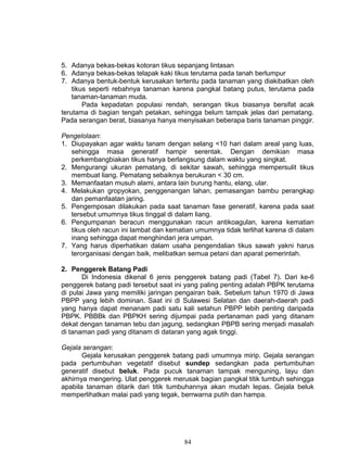 5. Adanya bekas-bekas kotoran tikus sepanjang lintasan
6. Adanya bekas-bekas telapak kaki tikus terutama pada tanah berlumpur
7. Adanya bentuk-bentuk kerusakan tertentu pada tanaman yang diakibatkan oleh
    tikus seperti rebahnya tanaman karena pangkal batang putus, terutama pada
    tanaman-tanaman muda.
        Pada kepadatan populasi rendah, serangan tikus biasanya bersifat acak
terutama di bagian tengah petakan, sehingga belum tampak jelas dari pematang.
Pada serangan berat, biasanya hanya menyisakan beberapa baris tanaman pinggir.

Pengelolaan:
1. Diupayakan agar waktu tanam dengan selang <10 hari dalam areal yang luas,
   sehingga masa generatif hampir serentak. Dengan demikian masa
   perkembangbiakan tikus hanya berlangsung dalam waktu yang singkat.
2. Mengurangi ukuran pematang, di sekitar sawah, sehingga mempersulit tikus
   membuat liang. Pematang sebaiknya berukuran < 30 cm.
3. Memanfaatan musuh alami, antara lain burung hantu, elang, ular.
4. Melakukan gropyokan, penggenangan lahan, pemasangan bambu perangkap
   dan pemanfaatan jaring.
5. Pengemposan dilakukan pada saat tanaman fase generatif, karena pada saat
   tersebut umumnya tikus tinggal di dalam liang.
6. Pengumpanan beracun menggunakan racun antikoagulan, karena kematian
   tikus oleh racun ini lambat dan kematian umumnya tidak terlihat karena di dalam
   inang sehingga dapat menghindari jera umpan.
7. Yang harus diperhatikan dalam usaha pengendalian tikus sawah yakni harus
   terorganisasi dengan baik, melibatkan semua petani dan aparat pemerintah.

2. Penggerek Batang Padi
       Di Indonesia dikenal 6 jenis penggerek batang padi (Tabel 7). Dari ke-6
penggerek batang padi tersebut saat ini yang paling penting adalah PBPK terutama
di pulai Jawa yang memiliki jaringan pengairan baik. Sebelum tahun 1970 di Jawa
PBPP yang lebih dominan. Saat ini di Sulawesi Selatan dan daerah-daerah padi
yang hanya dapat menanam padi satu kali setahun PBPP lebih penting daripada
PBPK. PBBBk dan PBPKH sering dijumpai pada pertanaman padi yang ditanam
dekat dengan tanaman tebu dan jagung, sedangkan PBPB sering menjadi masalah
di tanaman padi yang ditanam di dataran yang agak tinggi.

Gejala serangan:
       Gejala kerusakan penggerek batang padi umumnya mirip. Gejala serangan
pada pertumbuhan vegetatif disebut sundep sedangkan pada pertumbuhan
generatif disebut beluk. Pada pucuk tanaman tampak menguning, layu dan
akhirnya mengering. Ulat penggerek merusak bagian pangkal titik tumbuh sehingga
apabila tanaman ditarik dari titik tumbuhannya akan mudah lepas. Gejala beluk
memperlihatkan malai padi yang tegak, berrwarna putih dan hampa.




                                       84
 