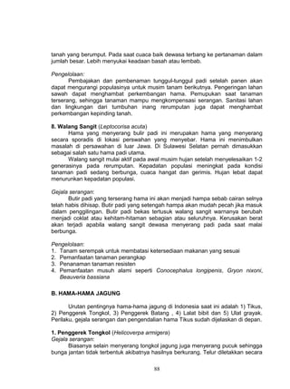 tanah yang berumput. Pada saat cuaca baik dewasa terbang ke pertanaman dalam
jumlah besar. Lebih menyukai keadaan basah atau lembab.

Pengelolaan:
       Pembajakan dan pembenaman tunggul-tunggul padi setelah panen akan
dapat mengurangi populasinya untuk musim tanam berikutnya. Pengeringan lahan
sawah dapat menghambat perkembangan hama. Pemupukan saat tanaman
terserang, sehingga tanaman mampu mengkompensasi serangan. Sanitasi lahan
dan lingkungan dari tumbuhan inang rerumputan juga dapat menghambat
perkembangan kepinding tanah.

8. Walang Sangit (Leptocorisa acuta)
      Hama yang menyerang bulir padi ini merupakan hama yang menyerang
secara sporadis di lokasi perswahan yang menyebar. Hama ini menimbulkan
masalah di persawahan di luar Jawa. Di Sulawesi Selatan pernah dimasukkan
sebagai salah satu hama padi utama.
      Walang sangit mulai aktif pada awal musim hujan setelah menyelesaikan 1-2
generasinya pada rerumputan. Kepadatan populasi meningkat pada kondisi
tanaman padi sedang berbunga, cuaca hangat dan gerimis. Hujan lebat dapat
menurunkan kepadatan populasi.

Gejala serangan:
       Butir padi yang terserang hama ini akan menjadi hampa sebab cairan selnya
telah habis dihisap. Butir padi yang setengah hampa akan mudah pecah jika masuk
dalam penggilingan. Butir padi bekas tertusuk walang sangit warnanya berubah
menjadi coklat atau kehitam-hitaman sebagian atau seluruhnya. Kerusakan berat
akan terjadi apabila walang sangit dewasa menyerang padi pada saat malai
berbunga.

Pengelolaan:
1. Tanam serempak untuk membatasi ketersediaan makanan yang sesuai
2. Pemanfaatan tanaman perangkap
3. Penanaman tanaman resisten
4. Pemanfaatan musuh alami seperti Conocephalus longipenis, Gryon nixoni,
   Beauveria bassiana

B. HAMA-HAMA JAGUNG

       Urutan pentingnya hama-hama jagung di Indonesia saat ini adalah 1) Tikus,
2) Penggerek Tongkol, 3) Penggerek Batang , 4) Lalat bibit dan 5) Ulat grayak.
Perilaku, gejala serangan dan pengendalian hama Tikus sudah dijelaskan di depan.

1. Penggerek Tongkol (Helicoverpa armigera)
Gejala serangan:
      Biasanya selain menyerang tongkol jagung juga menyerang pucuk sehingga
bunga jantan tidak terbentuk akibatnya hasilnya berkurang. Telur diletakkan secara

                                       88
 