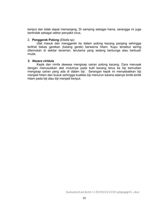 keriput dan tidak dapat memanjang. Di samping sebagai hama, serangga ini juga
bertindak sebagai vektor penyakit virus.

2. Penggerek Polong (Etiella sp)
        Ulat masuk dan menggerek ke dalam polong kacang panjang sehingga
terlihat bekas gerekan (lubang gerek) berwarna hitam. Kupu tersebut sering
ditemukan di sekitar tanaman, terutama yang sedang berbunga atau berbuah
muda.

3. Nezara viridula
      Kepik dan nimfa dewasa mengisap cairan polong kacang. Cara merusak
dengan menusukkan alat mulutnya pada kulit kacang terus ke biji kemudian
mengisap cairan yang ada di dalam biji. Serangan kepik ini menyebabkan biji
menjadi hitam dan busuk sehingga kualitas biji menurun karena adanya bintik-bintik
hitam pada biji atau biji menjadi keriput.




                           bukudiktatdiht-130302221030-phpapp01.doc

                                       95
 