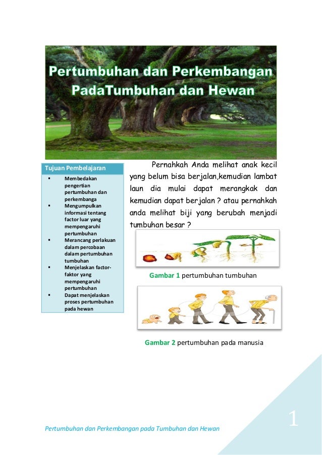 Pertumbuhan dan Perkembangan