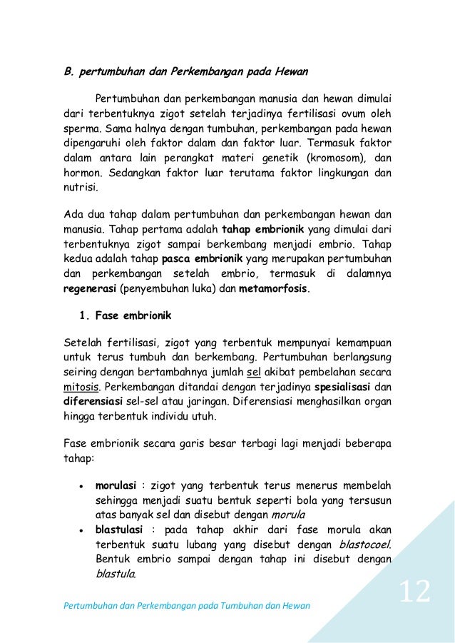 Buku Format B5 Copy