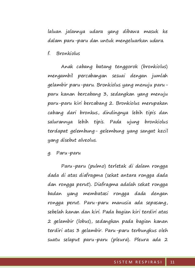 Sekat Antara Rongga Dada Dan Rongga Perut Disebut Goreng