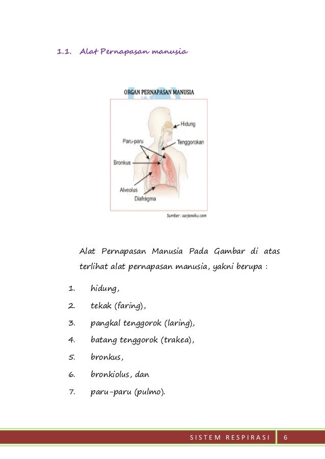 Buku Jadi 43180806