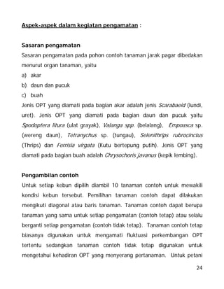 24
Aspek-aspek dalam kegiatan pengamatan :
Sasaran pengamatan
Sasaran pengamatan pada pohon contoh tanaman jarak pagar dibedakan
menurut organ tanaman, yaitu
a) akar
b) daun dan pucuk
c) buah
Jenis OPT yang diamati pada bagian akar adalah jenis Scarabaeid (lundi,
uret). Jenis OPT yang diamati pada bagian daun dan pucuk yaitu
Spodoptera litura (ulat grayak), Valanga spp. (belalang), Empoasca sp.
(wereng daun), Tetranychus sp. (tungau), Selenithrips rubrocinctus
(Thrips) dan Ferrisia virgata (Kutu bertepung putih). Jenis OPT yang
diamati pada bagian buah adalah Chrysochoris javanus (kepik lembing).
Pengambilan contoh
Untuk setiap kebun dipilih diambil 10 tanaman contoh untuk mewakili
kondisi kebun tersebut. Pemilihan tanaman contoh dapat dilakukan
mengikuti diagonal atau baris tanaman. Tanaman contoh dapat berupa
tanaman yang sama untuk setiap pengamatan (contoh tetap) atau selalu
berganti setiap pengamatan (contoh tidak tetap). Tanaman contoh tetap
biasanya digunakan untuk mengamati fluktuasi perkembangan OPT
tertentu sedangkan tanaman contoh tidak tetap digunakan untuk
mengetahui kehadiran OPT yang menyerang pertanaman. Untuk petani
 
