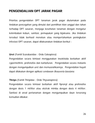 26
PPPEEENNNGGGEEENNNDDDAAALLLIIIAAANNN OOOPPPTTT JJJAAARRRAAAKKK PPPAAAGGGAAARRR
Prioritas pengendalian OPT tanaman jarak pagar diutamakan pada
tindakan pencegahan yang dimulai dari pemilihan klon unggul dan tahan
terhadap OPT sasaran, menjaga kesehatan tanaman dengan mengatur
kelembaban kebun, sanitasi, pemupukan yang bijaksana. Jika tindakan
tersebut tidak berhasil menekan atau mempertahankan peningkatan
infestasi OPT sasaran, dapat dilaksanakan tindakan berikut :
Uret (Famili Scarabaeidae : Ordo Coleoptera)
Pengendalian secara kimiawi menggunakan insektisida berbahan aktif
cypermethrin, profenofos dan karbofuran. Pengendalian secara mekanis
dengan mengumpulkan uret dan memusnahkannya. Pengendalian hayati
dapat dilakukan dengan aplikasi cendawan Beauveria bassiana.
Thrips (Famili Thripidae : Ordo Thysanoptera)
Pengendalian secara kimiawi berbahan aktif fipronyl atau profenofos
dengan dosis 1 ml/liter atau ekstrak mimba dengan dosis 4 ml/liter.
Sanitasi di areal pertanaman dengan mengumpulkan daun terserang
kemudian dibakar.
 
