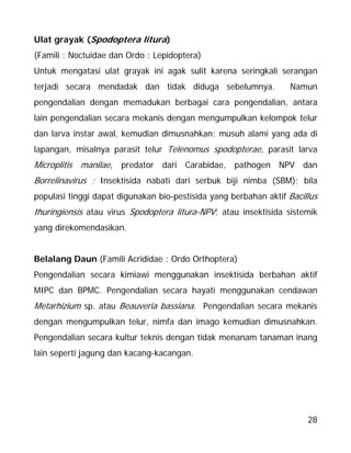 28
Ulat grayak (Spodoptera litura)
(Famili : Noctuidae dan Ordo : Lepidoptera)
Untuk mengatasi ulat grayak ini agak sulit karena seringkali serangan
terjadi secara mendadak dan tidak diduga sebelumnya. Namun
pengendalian dengan memadukan berbagai cara pengendalian, antara
lain pengendalian secara mekanis dengan mengumpulkan kelompok telur
dan larva instar awal, kemudian dimusnahkan; musuh alami yang ada di
lapangan, misalnya parasit telur Telenomus spodopterae, parasit larva
Microplitis manilae, predator dari Carabidae, pathogen NPV dan
Borrelinavirus ; Insektisida nabati dari serbuk biji nimba (SBM); bila
populasi tinggi dapat digunakan bio-pestisida yang berbahan aktif Bacillus
thuringiensis atau virus Spodoptera litura-NPV; atau insektisida sistemik
yang direkomendasikan.
Belalang Daun (Famili Acrididae : Ordo Orthoptera)
Pengendalian secara kimiawi menggunakan insektisida berbahan aktif
MIPC dan BPMC. Pengendalian secara hayati menggunakan cendawan
Metarhizium sp. atau Beauveria bassiana. Pengendalian secara mekanis
dengan mengumpulkan telur, nimfa dan imago kemudian dimusnahkan.
Pengendalian secara kultur teknis dengan tidak menanam tanaman inang
lain seperti jagung dan kacang-kacangan.
 