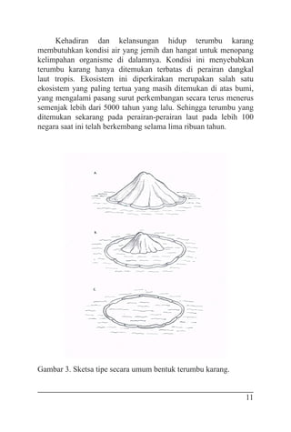 11
Kehadiran dan kelansungan hidup terumbu karang
membutuhkan kondisi air yang jernih dan hangat untuk menopang
kelimpahan organisme di dalamnya. Kondisi ini menyebabkan
terumbu karang hanya ditemukan terbatas di perairan dangkal
laut tropis. Ekosistem ini diperkirakan merupakan salah satu
ekosistem yang paling tertua yang masih ditemukan di atas bumi,
yang mengalami pasang surut perkembangan secara terus menerus
semenjak lebih dari 5000 tahun yang lalu. Sehingga terumbu yang
ditemukan sekarang pada perairan-perairan laut pada lebih 100
negara saat ini telah berkembang selama lima ribuan tahun.
Gambar 3. Sketsa tipe secara umum bentuk terumbu karang.
 