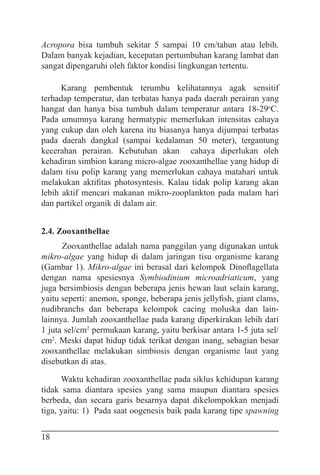 18
Acropora bisa tumbuh sekitar 5 sampai 10 cm/tahun atau lebih.
Dalam banyak kejadian, kecepatan pertumbuhan karang lambat dan
sangat dipengaruhi oleh faktor kondisi lingkungan tertentu.
Karang pembentuk terumbu kelihatannya agak sensitif
terhadap temperatur, dan terbatas hanya pada daerah perairan yang
hangat dan hanya bisa tumbuh dalam temperatur antara 18-29o
C.
Pada umumnya karang hermatypic memerlukan intensitas cahaya
yang cukup dan oleh karena itu biasanya hanya dijumpai terbatas
pada daerah dangkal (sampai kedalaman 50 meter), tergantung
kecerahan perairan. Kebutuhan akan cahaya diperlukan oleh
kehadiran simbion karang micro-algae zooxanthellae yang hidup di
dalam tisu polip karang yang memerlukan cahaya matahari untuk
melakukan aktifitas photosyntesis. Kalau tidak polip karang akan
lebih aktif mencari makanan mikro-zooplankton pada malam hari
dan partikel organik di dalam air.
2.4. Zooxanthellae
Zooxanthellae adalah nama panggilan yang digunakan untuk
mikro-algae yang hidup di dalam jaringan tisu organisme karang
(Gambar 1). Mikro-algae ini berasal dari kelompok Dinoflagellata
dengan nama spesiesnya Symbiodinium microadriaticum, yang
juga bersimbiosis dengan beberapa jenis hewan laut selain karang,
yaitu seperti: anemon, sponge, beberapa jenis jellyfish, giant clams,
nudibranchs dan beberapa kelompok cacing moluska dan lain-
lainnya. Jumlah zooxanthellae pada karang diperkirakan lebih dari
1 juta sel/cm2
permukaan karang, yaitu berkisar antara 1-5 juta sel/
cm2
. Meski dapat hidup tidak terikat dengan inang, sebagian besar
zooxanthellae melakukan simbiosis dengan organisme laut yang
disebutkan di atas.
Waktu kehadiran zooxanthellae pada siklus kehidupan karang
tidak sama diantara spesies yang sama maupun diantara spesies
berbeda, dan secara garis besarnya dapat dikelompokkan menjadi
tiga, yaitu: 1) Pada saat oogenesis baik pada karang tipe spawning
 