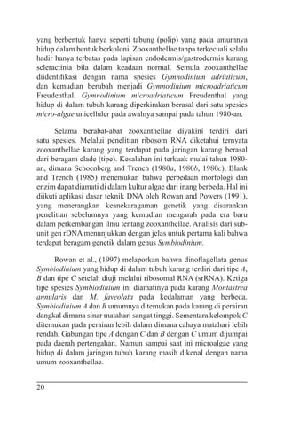 20
yang berbentuk hanya seperti tabung (polip) yang pada umumnya
hidup dalam bentuk berkoloni. Zooxanthellae tanpa terkecuali selalu
hadir hanya terbatas pada lapisan endodermis/gastrodermis karang
scleractinia bila dalam keadaan normal. Semula zooxanthellae
diidentifikasi dengan nama spesies Gymnodinium adriaticum,
dan kemudian berubah menjadi Gymnodinium microadriaticum
Freudenthal. Gymnodinium microadriaticum Freudenthal yang
hidup di dalam tubuh karang diperkirakan berasal dari satu spesies
micro-algae unicelluler pada awalnya sampai pada tahun 1980-an.
Selama berabat-abat zooxanthellae diyakini terdiri dari
satu spesies. Melalui penelitian ribosom RNA diketahui ternyata
zooxanthellae karang yang terdapat pada jaringan karang berasal
dari beragam clade (tipe). Kesalahan ini terkuak mulai tahun 1980-
an, dimana Schoenberg and Trench (1980a, 1980b, 1980c), Blank
and Trench (1985) menemukan bahwa perbedaan morfologi dan
enzim dapat diamati di dalam kultur algae dari inang berbeda. Hal ini
diikuti aplikasi dasar teknik DNA oleh Rowan and Powers (1991),
yang menerangkan keanekaragaman genetik yang disarankan
penelitian sebelumnya yang kemudian mengarah pada era baru
dalam perkembangan ilmu tentang zooxanthellae. Analisis dari sub-
unit gen rDNA menunjukkan dengan jelas untuk pertama kali bahwa
terdapat beragam genetik dalam genus Symbiodinium.
Rowan et al., (1997) melaporkan bahwa dinoflagellata genus
Symbiodinium yang hidup di dalam tubuh karang terdiri dari tipe A,
B dan tipe C setelah diuji melalui ribosomal RNA (srRNA). Ketiga
tipe spesies Symbiodinium ini diamatinya pada karang Montastrea
annularis dan M. faveolata pada kedalaman yang berbeda.
Symbiodinium A dan B umumnya ditemukan pada karang di perairan
dangkal dimana sinar matahari sangat tinggi. Sementara kelompok C
ditemukan pada perairan lebih dalam dimana cahaya matahari lebih
rendah. Gabungan tipe A dengan C dan B dengan C umum dijumpai
pada daerah pertengahan. Namun sampai saat ini microalgae yang
hidup di dalam jaringan tubuh karang masih dikenal dengan nama
umum zooxanthellae.
 