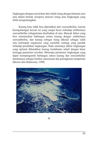 43
lingkungan dengan cara keluar dari tubuh inang dengan bantuan arus
atau dalam bentuk zoospora mencari inang atau lingkungan yang
lebih menguntungkan.
Karang batu tidak bisa dipisahkan dari zooxanthellae, karena
ketergantungan hewan ini yang sangat besar terhadap simbionnya
zooxanthellae sebagaimana disebutkan di atas. Banyak faktor yang
bisa memutuskan hubungan antara karang dengan simbionnya
zooxanthellae, dan karang sebagai inang dikenal sebagai salah
satu kelompok organisme yang memiliki rentang yang pendek
terhadap perubahan lingkungan. Pada umumnya faktor lingkungan
yang optimal dibutuhkan karang berdekatan sekali dengan batas
tertinggi parameter tersebut. Beberapa parameter lingkungan yang
dapat mempengaruhi hubungan antara karang dan zooxanthellae
diantaranya sebagai berikut: penurunan dan peningkatan temperatur
(Brown dan Suharsono, 1990;
B
 