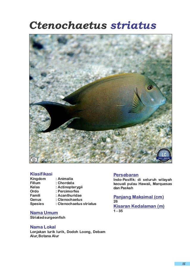 Keanekaragaman Jenis Ikan Taman Wisata Perairan Pulau Pieh