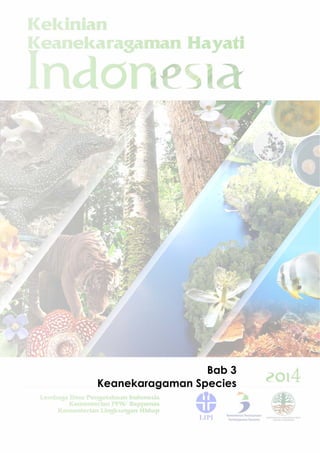 60|Kekinian Keanekaragaman Hayati Indonesia|Bab 3 Keanekaragaman Hayati
(Triaenodon	 spp)	 dan	 Cucut	 moncong	
putih	 (Ca...