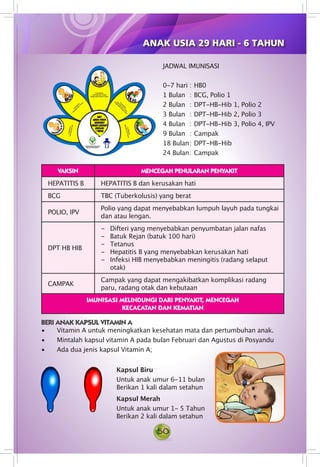 50
JADWAL IMUNISASI
0-7 hari	: 	HB0
1 Bulan	 : 	BCG, Polio 1
2 Bulan	 : 	DPT-HB-Hib 1, Polio 2
3 Bulan	 :	DPT-HB-Hib 2, Polio 3
4 Bulan	 : 	DPT-HB-Hib 3, Polio 4, IPV
9 Bulan	 :	Campak
18 Bulan	: 	DPT-HB-Hib
24 Bulan	: 	Campak
VAKSIN MENCEGAH PENULARAN PENYAKIT
HEPATITIS B HEPATITIS B dan kerusakan hati
BCG TBC (Tuberkolusis) yang berat
POLIO, IPV
Polio yang dapat menyebabkan lumpuh layuh pada tungkai
dan atau lengan.
DPT HB HIB
- 	 Difteri yang menyebabkan penyumbatan jalan nafas
- 	 Batuk Rejan (batuk 100 hari)
- 	 Tetanus
- 	 Hepatitis B yang menyebabkan kerusakan hati
- 	 Infeksi HIB menyebabkan meningitis (radang selaput
otak)
CAMPAK
Campak yang dapat mengakibatkan komplikasi radang
paru, radang otak dan kebutaan
IMUNISASI MELINDUNGI DARI PENYAKIT, MENCEGAH
KECACATAN DAN KEMATIAN
BERI ANAK KAPSUL VITAMIN A
• Vitamin A untuk meningkatkan kesehatan mata dan pertumbuhan anak.
• Mintalah kapsul vitamin A pada bulan Februari dan Agustus di Posyandu
• Ada dua jenis kapsul Vitamin A;
Kapsul Biru
Untuk anak umur 6-11 bulan
Berikan 1 kali dalam setahun
Kapsul Merah
Untuk anak umur 1- 5 Tahun
Berikan 2 kali dalam setahun
ANAK USIA 29 HARI - 6 TAHUN
 