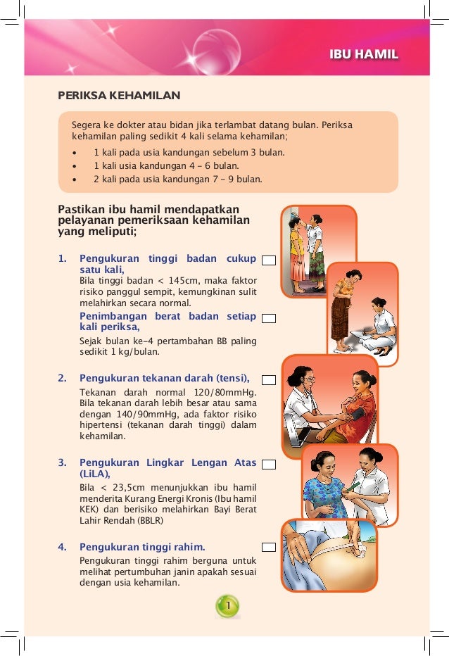 Nama Vitamin Ibu Hamil 4 Bulan Nama Vitamin Ibu Hamil 4 Bulan