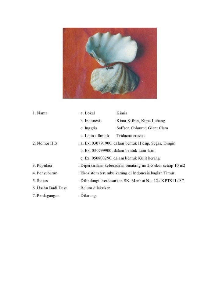 Buku Larangan Biota Laut Yang Dilindungi