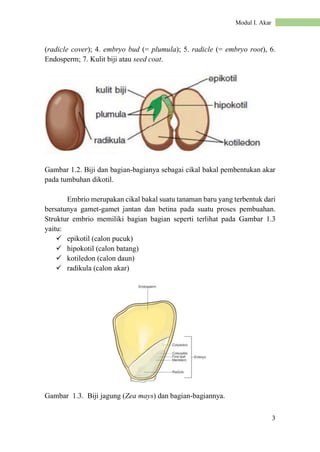 Buku Materi Pembelajaran Morfologi Tumbuhan.pdf