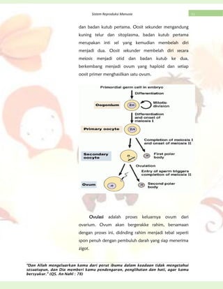 “Dan Allah mengeluarkan kamu dari perut ibumu dalam keadaan tidak mengetahui
sesuatupun, dan Dia memberi kamu pendengaran, penglihatan dan hati, agar kamu
bersyukur.” (QS. An-Nahl : 78)
11Sistem Reproduksi Manusia
dan badan kutub pertama. Oosit sekunder mengandung
kuning telur dan sitoplasma, badan kutub pertama
merupakan inti sel yang kemudian membelah diri
menjadi dua. Oosit sekunder membelah diri secara
meiosis menjadi otid dan badan kutub ke dua,
berkembang menjadi ovum yang haploid dan setiap
oosit primer menghasilkan satu ovum.
Ovulasi adalah proses keluarnya ovum dari
ovarium. Ovum akan bergerakke rahim, bersamaan
dengan proses ini, didnding rahim menjadi tebal seperti
spon penuh dengan pembuluh darah yang siap menerima
zigot.
 