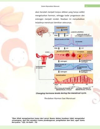 “Dan Allah mengeluarkan kamu dari perut ibumu dalam keadaan tidak mengetahui
sesuatupun, dan Dia memberi kamu pendengaran, penglihatan dan hati, agar kamu
bersyukur.” (QS. An-Nahl : 78)
14Sistem Reproduksi Manusia
akan berubah menjadi korpus albikan yang hanya sedikit
mengeluarkan hormon, sehingga kadar progesteron dan
esterogen menjadi rendah. Keadaan ini menyebabkan
terjadinya menstruasi demikian seterusnya.
Perubahan Hormon Saat Menstruasi
 