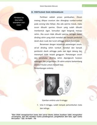 “Dan Allah mengeluarkan kamu dari perut ibumu dalam keadaan tidak mengetahui
sesuatupun, dan Dia memberi kamu pendengaran, penglihatan dan hati, agar kamu
bersyukur.” (QS. An-Nahl : 78)
15Sistem Reproduksi Manusia
D. FERTILISASI DAN KEHAMILAN
Fertilisasi adalah proses pembuahan. Ovum
matang dilepas ovarium dan ditangkap rumbai-rumbai
pada corong tuba fallopi. Jika ada sperma masuk, maka
ovum dibuahi sperma. Ovum yang sudah dibuahi
membentuk zigot, kemudian zigot bergerak menuju
rahim. Jika ovum tidak dibuahi sperma, jaringan dalam
dinding rahim yang telah menebal dan banyak pembuluh
darah akan rusak dan luruh sehingga terjadi menstruasi.
Bersamaan dengan terjadinya pematangan ovum,
sel-sel dinding rahim tumbuh menebal dan banyak
pembuluh darah sehingga pada saat zigot datang dan
menempel tidak terjadi gangguan. Pematangan ovum
dan penebalan dinding rahim dipengaruhi hormon
esterogen dan progesteron. Di rahim embrio berkembang
selama 9 bulan untuk menjadi bayi.
Perkembangan embrio:
Gambar embrio usia 4 minggu
1. Usia 4 minggu, sudah tampak pertumbuhan mata
dan telinga.
Mengapa ibu
bisa hamil,
sedangkan ayah
tidak?
 