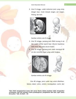 “Dan Allah mengeluarkan kamu dari perut ibumu dalam keadaan tidak mengetahui
sesuatupun, dan Dia memberi kamu pendengaran, penglihatan dan hati, agar kamu
bersyukur.” (QS. An-Nahl : 78)
16Sistem Reproduksi Manusia
2. Usia 8 minggu, sudah terbentuk janin yang mirip
dengan bayi, mulai tampak tangan, jari tangan,
hidung, dan kaki.
Gambar embrio usia 8 minggu
3. Usia 10 minggu, panjang janin lebih kurang 6 cm
dan sudah terlihat seperti bayi. Ukuran kepalanya
lebih besar dari pada ukuran badan.
4. Usia 16 minggu, panjang janin telah mencapai 40
cm dan memilliki organ yang sudah lengkap.
Gambar embrio usia 16 minggu
Usia 40 minggu, janin sudah siap untuk dilahirkan.
Selama dalam rahim, embrio mendapatkan nutrisi dari
 