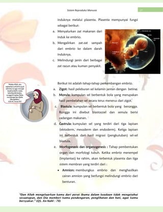 “Dan Allah mengeluarkan kamu dari perut ibumu dalam keadaan tidak mengetahui
sesuatupun, dan Dia memberi kamu pendengaran, penglihatan dan hati, agar kamu
bersyukur.” (QS. An-Nahl : 78)
17Sistem Reproduksi Manusia
induknya melalui plasenta. Plasenta mempunyai fungsi
sebagai berikut:
a. Menyalurkan zat makanan dari
induk ke embrio.
b. Mengalirkan zat-zat sampah
dari embrio ke dalam darah
induknya.
c. Melindungi janin dari berbagai
zat racun atau kuman penyakit.
Berikut ini adalah tahap-tahap perkembangan embrio.
a. Zigot: hasil peleburan sel kelamin jantan dengan betina.
b. Morula: kumpulan sel berbentuk bola yang merupakan
hasil pembelahan sel secara terus menerus dari zigot.
c. Blastula: kumpulan sel berbentuk bola yang berongga.
Rongga ini disebut blastocoel dan semula berisi
cadangan makanan.
d. Gastrula: kumpulan sel yang terdiri dari tiga lapisan
(ektoderm, mesoderm dan endoderm). Ketiga lapisan
ini terbentuk dari hasil migrasi (pengkutuban) sel-sel
blastula.
e. Morfogenesis dan organogenesis : Tahap pembentukan
organ dan morfologi tubuh. Ketika embrio menempel
(implantasi) ke rahim, akan terbentuk plasenta dan tiga
sistem membran yang terdiri dari :
Amnion: membungkus embrio dan menghasilkan
cairan amnion yang berfungsi melindungi embrio dari
benturan.
 