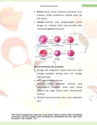 “Dan Allah mengeluarkan kamu dari perut ibumu dalam keadaan tidak mengetahui
sesuatupun, dan Dia memberi kamu pendengaran, penglihatan dan hati, agar kamu
bersyukur.” (QS. An-Nahl : 78)
18Sistem Reproduksi Manusia
Korion: lapisan tempat terjadinya pertukaran unsur
makanan, limbah metabolisme, antibodi antara ibu
dan embrio.
Alantois: membran yang menghubungkan embrio
dengan ibu, membran inilah yang kemudian akan
membentuk plasenta (tali pusar).
Hormon kehamilan dan persalinan
a. Estrogen dan progesteron sampai bulan ke-4 untuk
menjaga penebalan dinding uterus dan menjaga
kebutuhan zigot.
b. HCG, yang dihasilkan plasenta.
c. Hormon relaksin (dihasilkan plasenta) yang
mempengaruhi fleksibilitas simfisis pubis (tulang
kelamin) dan organ lainnya untuk mempermudah
kelahiran.
d. Oksitosin memacu kontraksi uterus untuk melepaskan
janin.
 